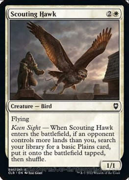 Scouting Hawk (#041)