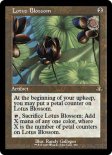 Lotus Blossom (#384)