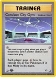 Cerulean City Gym (#108)