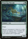 Penumbra Bobcat (#419)