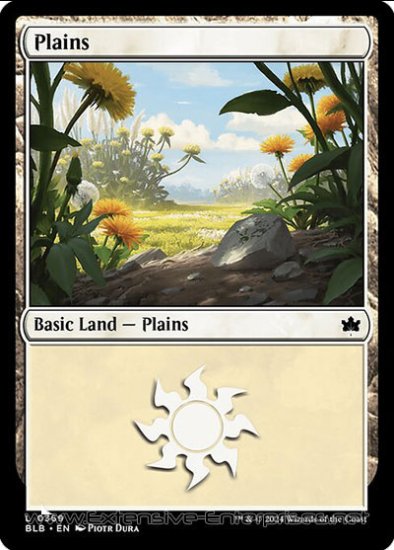 Plains (#369)