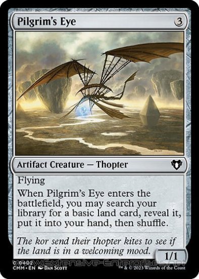 Pilgrim\'s Eye (#0402)