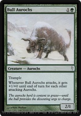Bull Aurochs (#107)