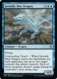 Juvenile Mist Dragon (#079)