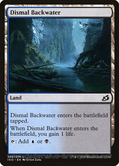 Dismal Backwater (#246)