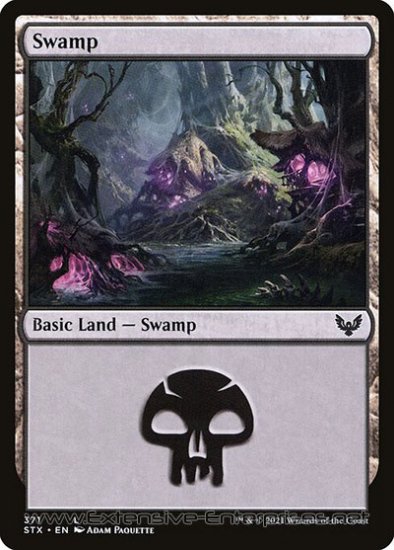 Swamp (#371)