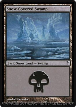 Snow-Covered Swamp (#153)