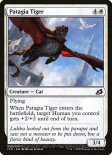 Patagia Tiger (#026)