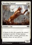 Prowling Caracal (#017)