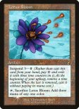 Lotus Bloom (#411)