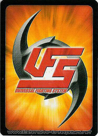Ultimate Fighting System, UFS
